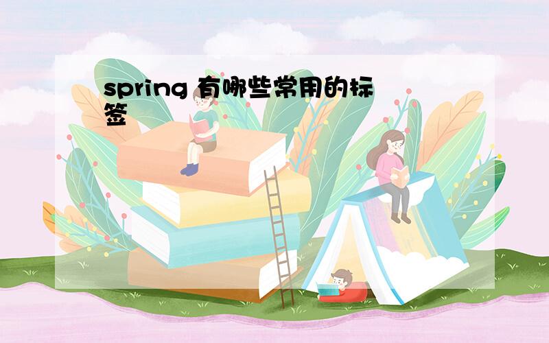 spring 有哪些常用的标签