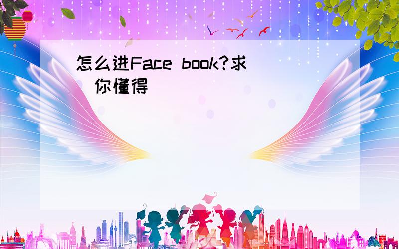 怎么进Face book?求（你懂得）