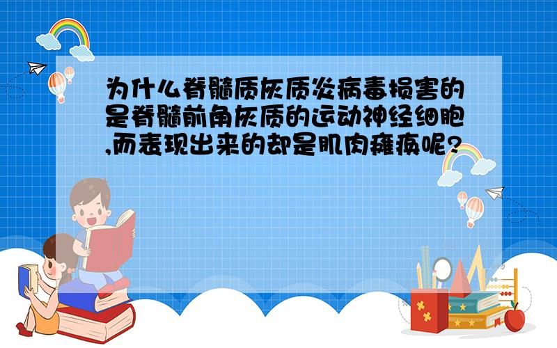 为什么脊髓质灰质炎病毒损害的是脊髓前角灰质的运动神经细胞,而表现出来的却是肌肉瘫痪呢?