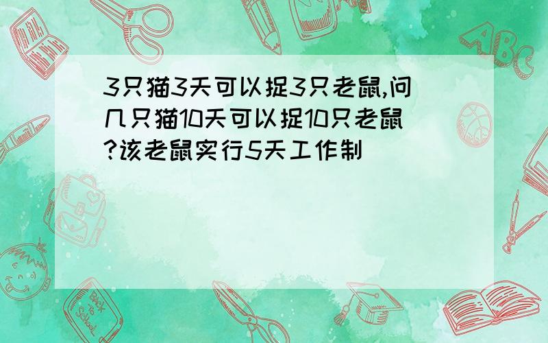 3只猫3天可以捉3只老鼠,问几只猫10天可以捉10只老鼠?该老鼠实行5天工作制