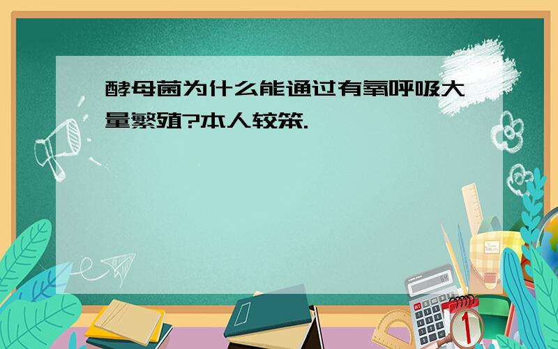 酵母菌为什么能通过有氧呼吸大量繁殖?本人较笨.