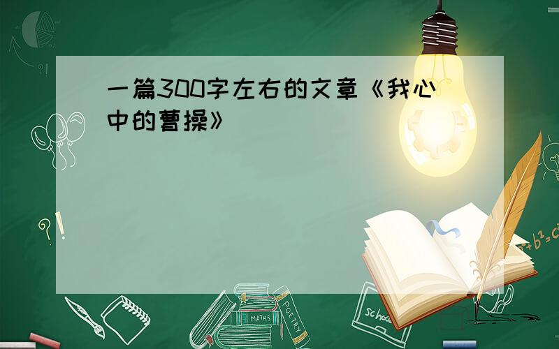 一篇300字左右的文章《我心中的曹操》