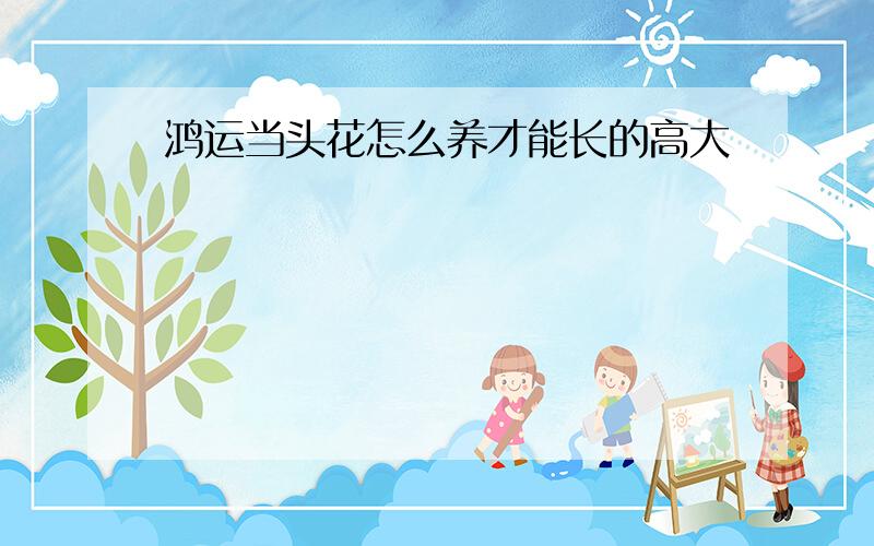 鸿运当头花怎么养才能长的高大