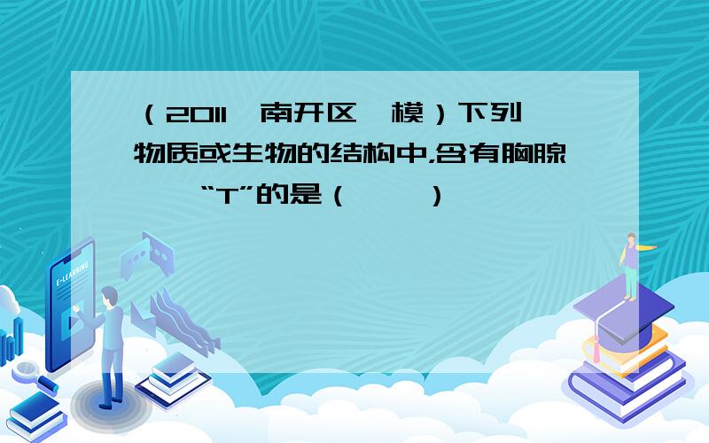 （2011•南开区一模）下列物质或生物的结构中，含有胸腺嘧啶“T”的是（　　）