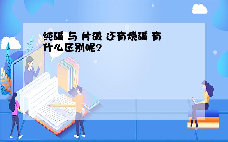 纯碱 与 片碱 还有烧碱 有什么区别呢?