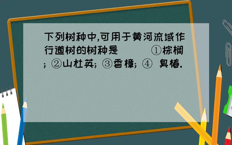 下列树种中,可用于黄河流域作行道树的树种是( ) ①棕榈; ②山杜英; ③香樟; ④ 臭椿.