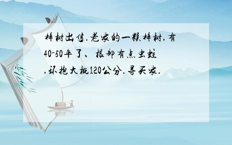 梓树出售.老家的一颗梓树,有40-50年了、根部有点虫蛀,环抱大概120公分.寻买家.