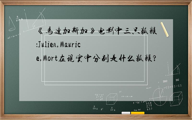 《马达加斯加》电影中三只狐猴：Julien,Maurice,Mort在现实中分别是什么狐猴?