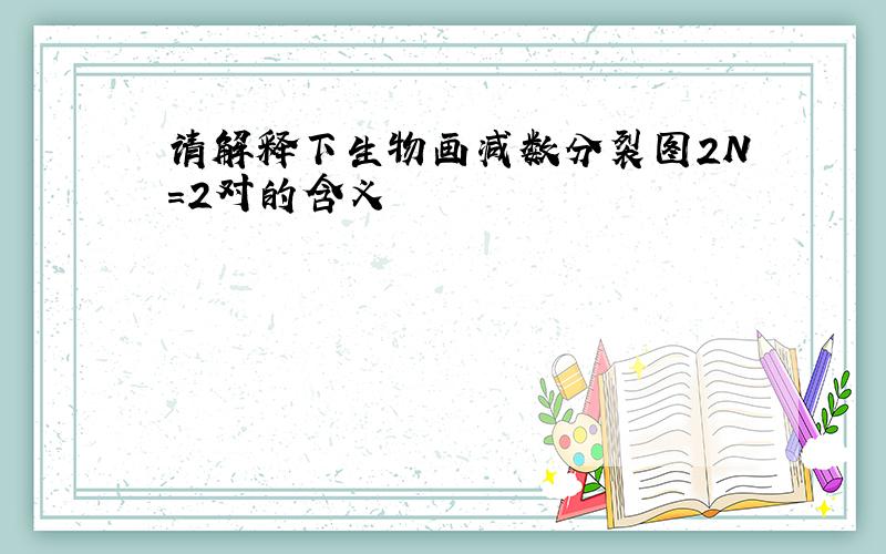 请解释下生物画减数分裂图2N=2对的含义