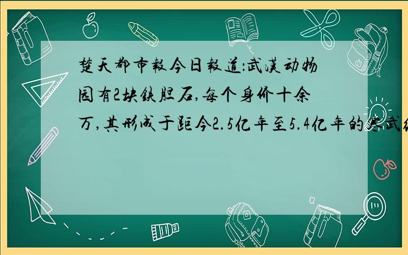 楚天都市报今日报道：武汉动物园有2块铁胆石,每个身价十余万,其形成于距今2.5亿年至5.4亿年的寒武纪早期.我2006年