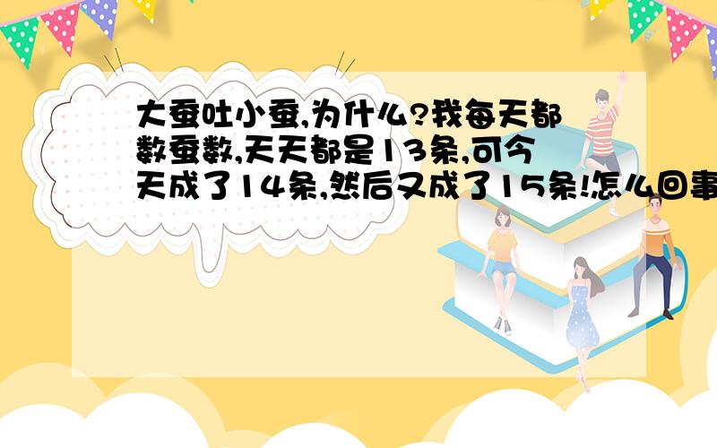 大蚕吐小蚕,为什么?我每天都数蚕数,天天都是13条,可今天成了14条,然后又成了15条!怎么回事啊?别人说是大蚕吐小蚕,