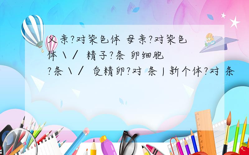 父亲?对染色体 母亲?对染色体 \ ∕ 精子?条 卵细胞?条 \ ∕ 受精卵?对 条 | 新个体?对 条