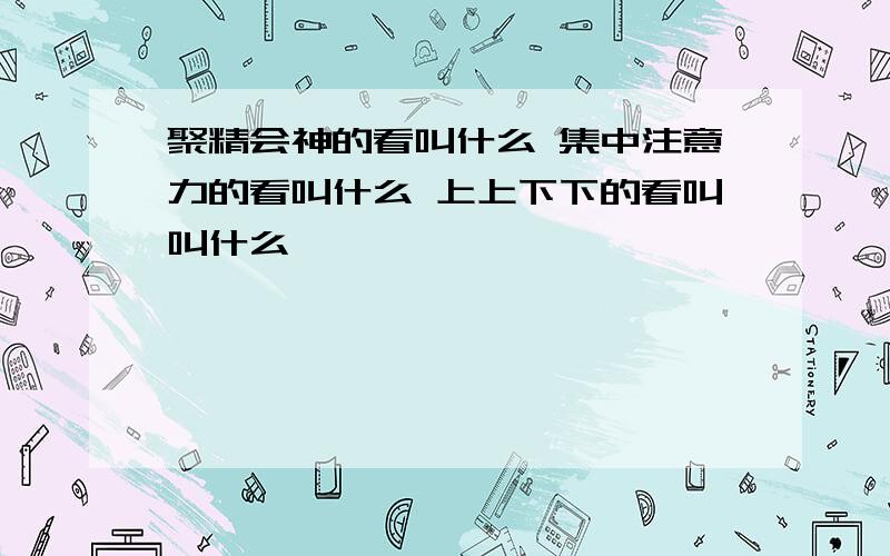 聚精会神的看叫什么 集中注意力的看叫什么 上上下下的看叫叫什么