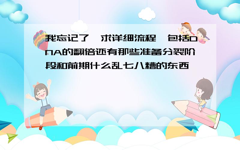 我忘记了,求详细流程,包括DNA的翻倍还有那些准备分裂阶段和前期什么乱七八糟的东西,