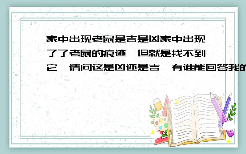 家中出现老鼠是吉是凶家中出现了了老鼠的痕迹,但就是找不到它,请问这是凶还是吉,有谁能回答我的问题吗?谢谢!