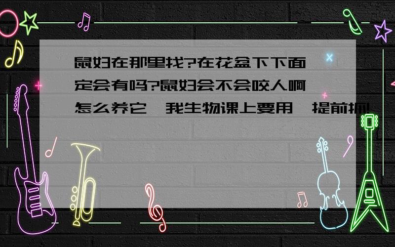 鼠妇在那里找?在花盆下下面一定会有吗?鼠妇会不会咬人啊,怎么养它,我生物课上要用,提前抓!