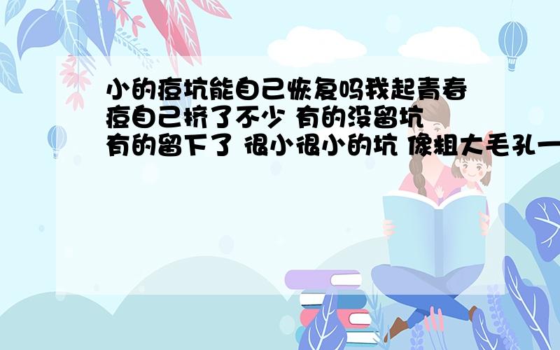 小的痘坑能自己恢复吗我起青春痘自己挤了不少 有的没留坑 有的留下了 很小很小的坑 像粗大毛孔一样的那种 请问我年龄还小