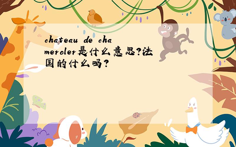 chateau de chameroler是什么意思?法国的什么吗?