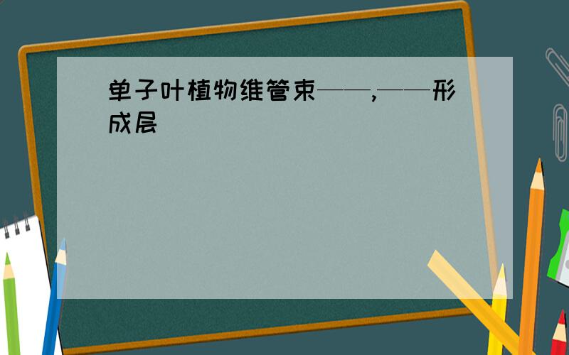 单子叶植物维管束——,——形成层