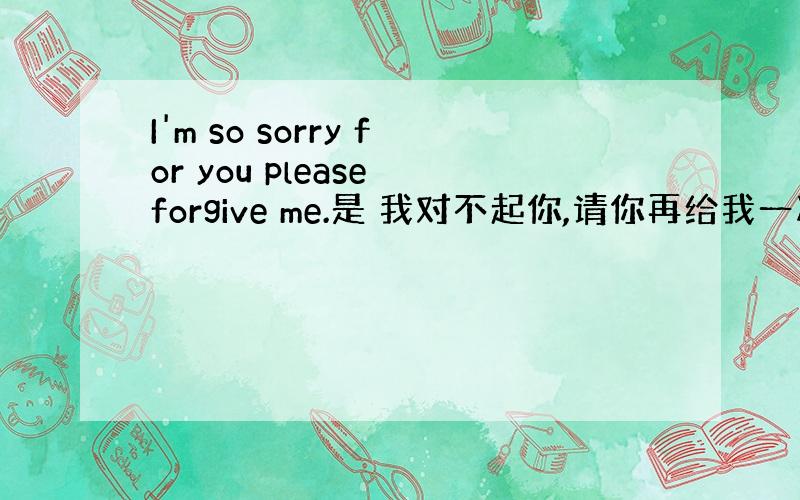 I'm so sorry for you please forgive me.是 我对不起你,请你再给我一次机会的意思么