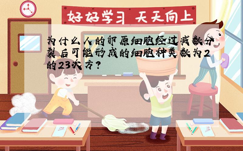 为什么人的卵原细胞经过减数分裂后可能形成的细胞种类数为2的23次方?