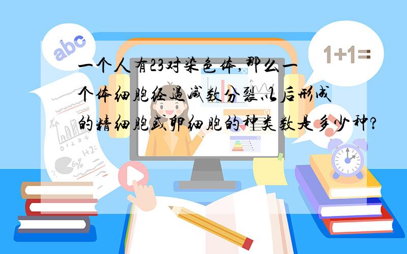 一个人有23对染色体,那么一个体细胞经过减数分裂以后形成的精细胞或卵细胞的种类数是多少种?