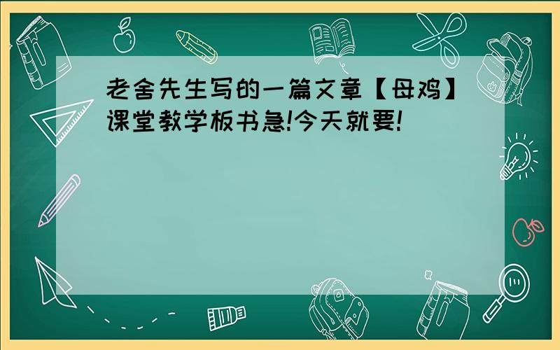 老舍先生写的一篇文章【母鸡】课堂教学板书急!今天就要!