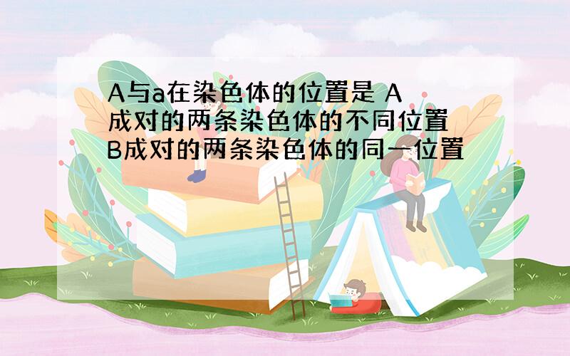 A与a在染色体的位置是 A 成对的两条染色体的不同位置 B成对的两条染色体的同一位置