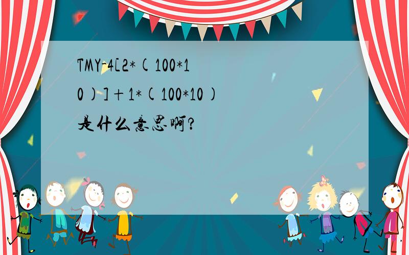 TMY-4[2*(100*10)]+1*(100*10)是什么意思啊?