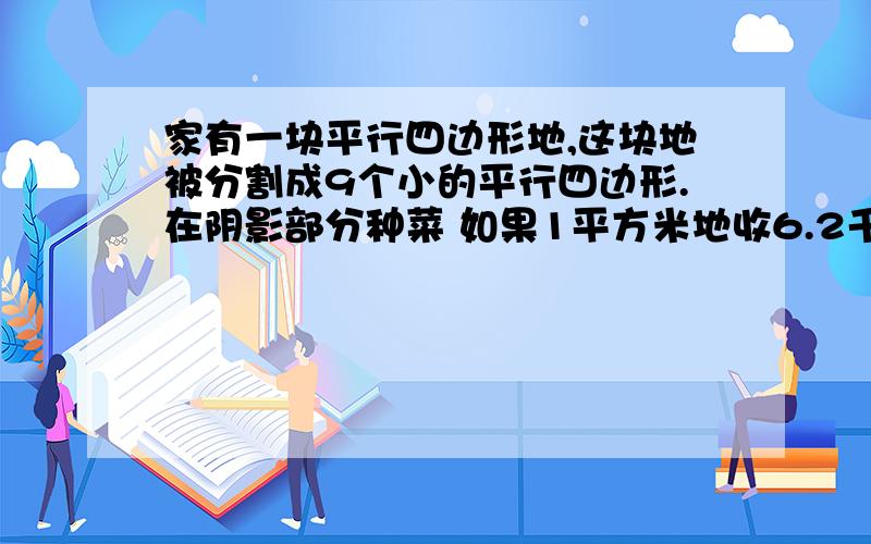 家有一块平行四边形地,这块地被分割成9个小的平行四边形.在阴影部分种菜 如果1平方米地收6.2千克