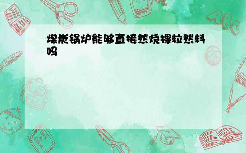 煤炭锅炉能够直接然烧棵粒然料吗