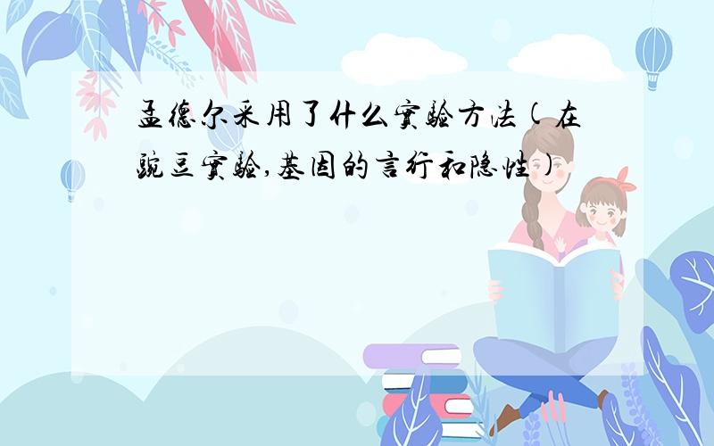 孟德尔采用了什么实验方法(在豌豆实验,基因的言行和隐性)