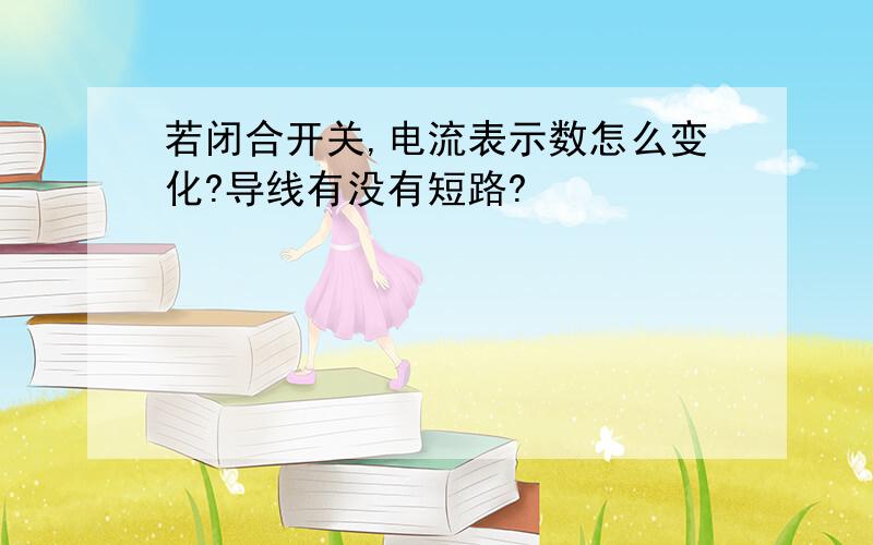 若闭合开关,电流表示数怎么变化?导线有没有短路?