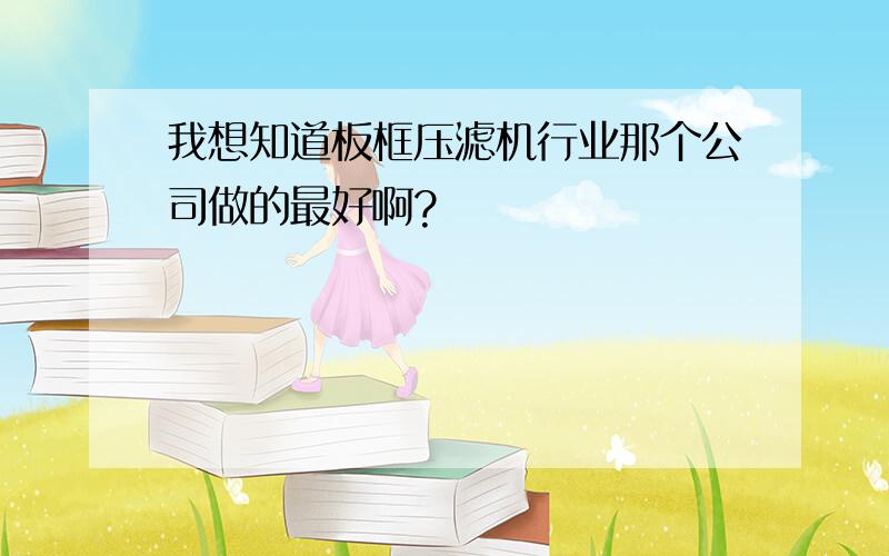 我想知道板框压滤机行业那个公司做的最好啊?