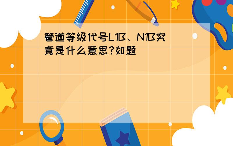 管道等级代号L1B、N1B究竟是什么意思?如题