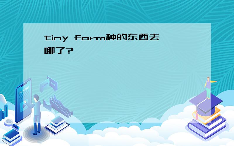 tiny farm种的东西去哪了?