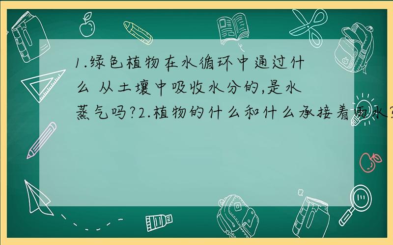 1.绿色植物在水循环中通过什么 从土壤中吸收水分的,是水蒸气吗?2.植物的什么和什么承接着雨水?