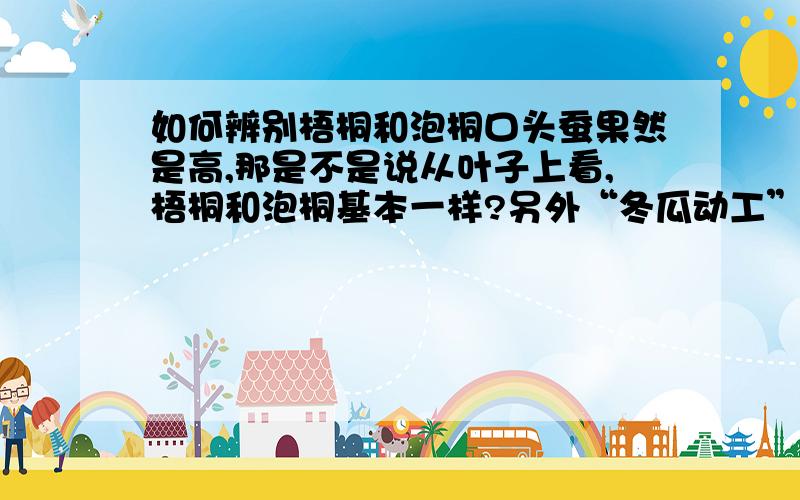 如何辨别梧桐和泡桐口头蚕果然是高,那是不是说从叶子上看,梧桐和泡桐基本一样?另外“冬瓜动工”贴的资料有一点问题,法国梧桐