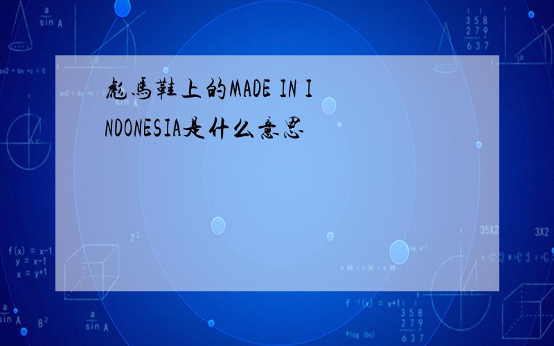 彪马鞋上的MADE IN INDONESIA是什么意思