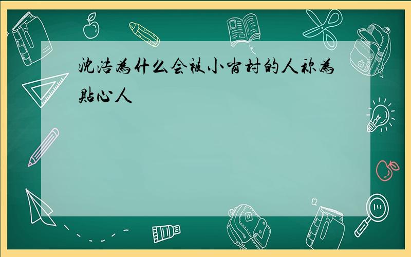 沈浩为什么会被小岗村的人称为贴心人