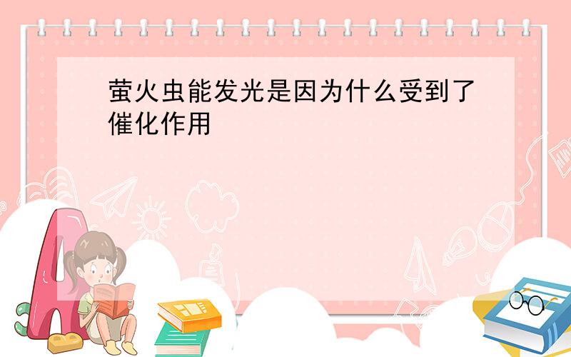 萤火虫能发光是因为什么受到了催化作用