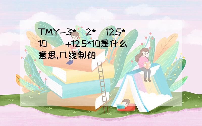 TMY-3*(2*(125*10))+125*10是什么意思,几线制的