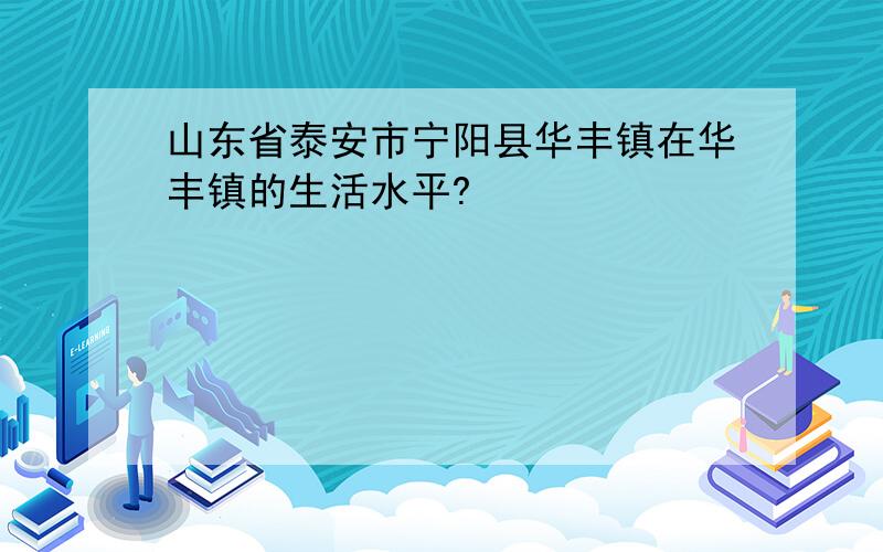 山东省泰安市宁阳县华丰镇在华丰镇的生活水平?