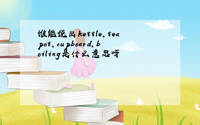 谁能说出kettle,teapot,cupboard,boiling是什么意思呀