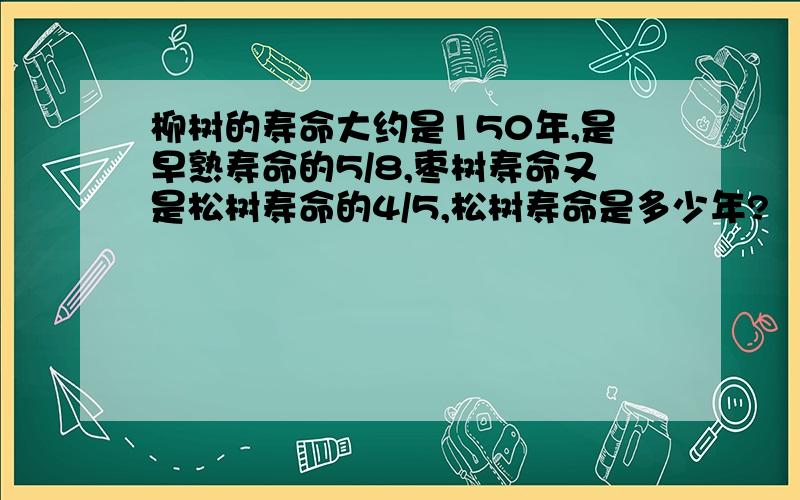 柳树的寿命大约是150年,是早熟寿命的5/8,枣树寿命又是松树寿命的4/5,松树寿命是多少年?