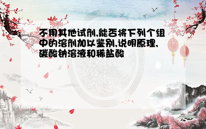 不用其他试剂,能否将下列个组中的溶剂加以鉴别,说明原理,碳酸钠溶液和稀盐酸