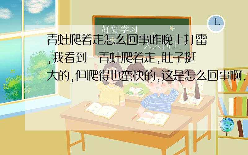 青蛙爬着走怎么回事昨晚上打雷,我看到一青蛙爬着走,肚子挺大的,但爬得也蛮快的,这是怎么回事啊.