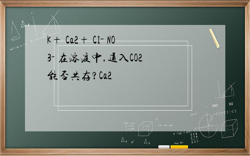 K+ Ca2+ Cl- NO3- 在溶液中,通入CO2 能否共存?Ca2