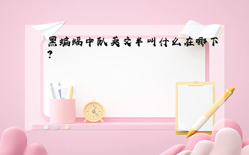 黑蝙蝠中队英文半叫什么在哪下?