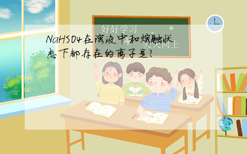 NaHSO4在溶液中和熔融状态下都存在的离子是?